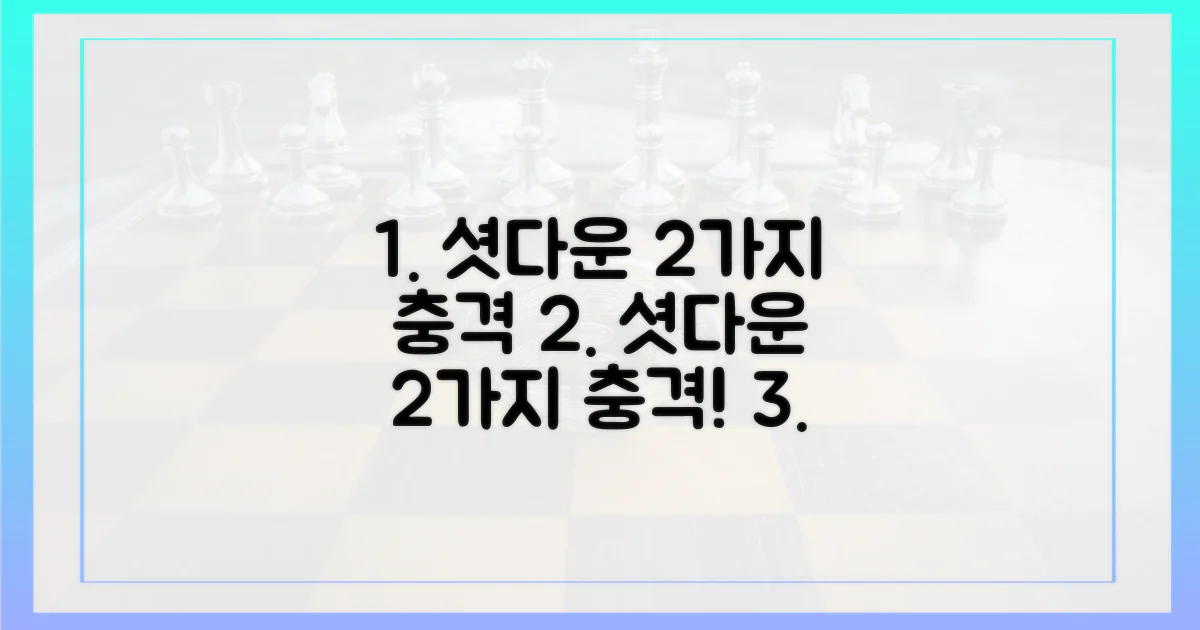 2가지 셧다운 영향