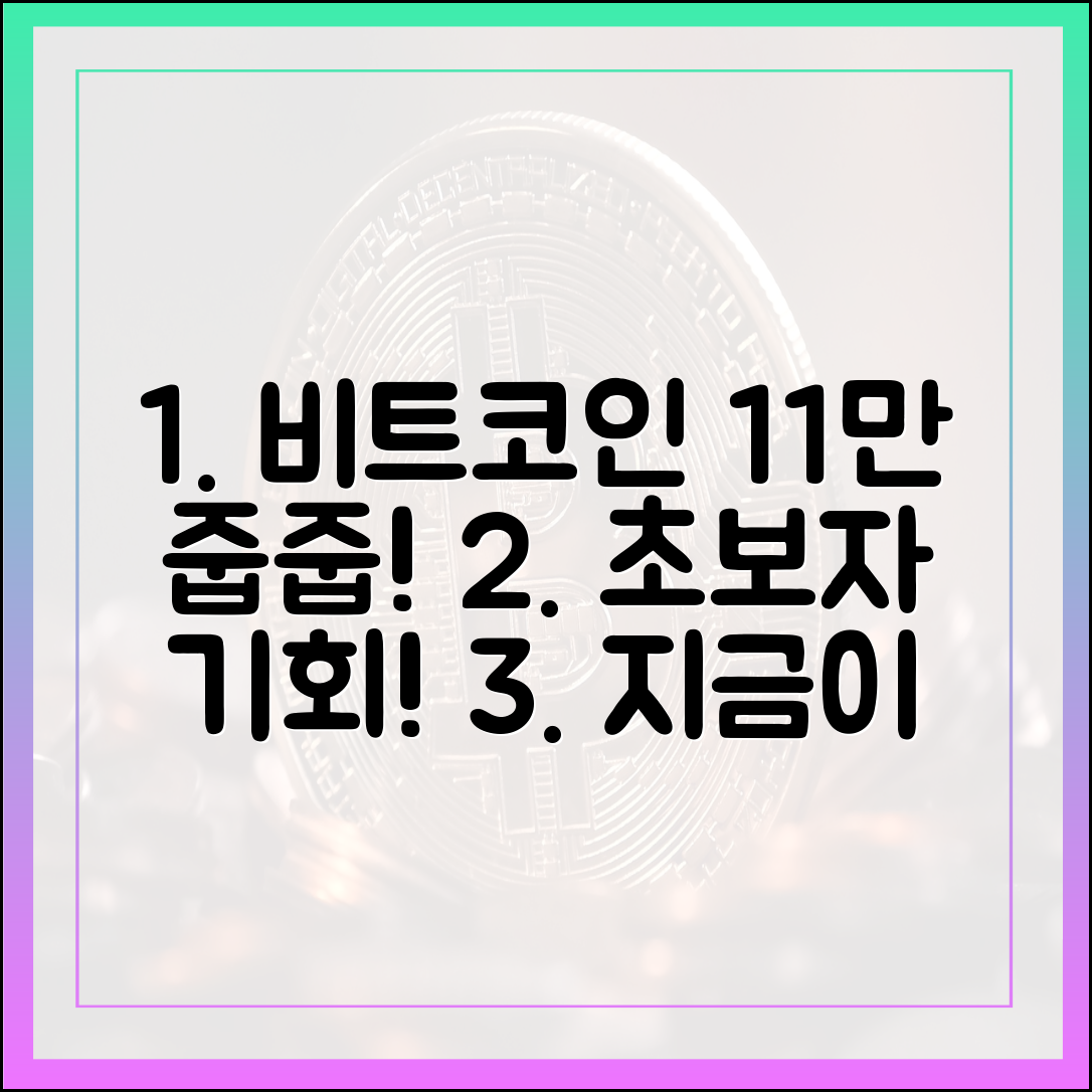 비트코인 11만달러대 하락, 초보자도 줍줍 기회!