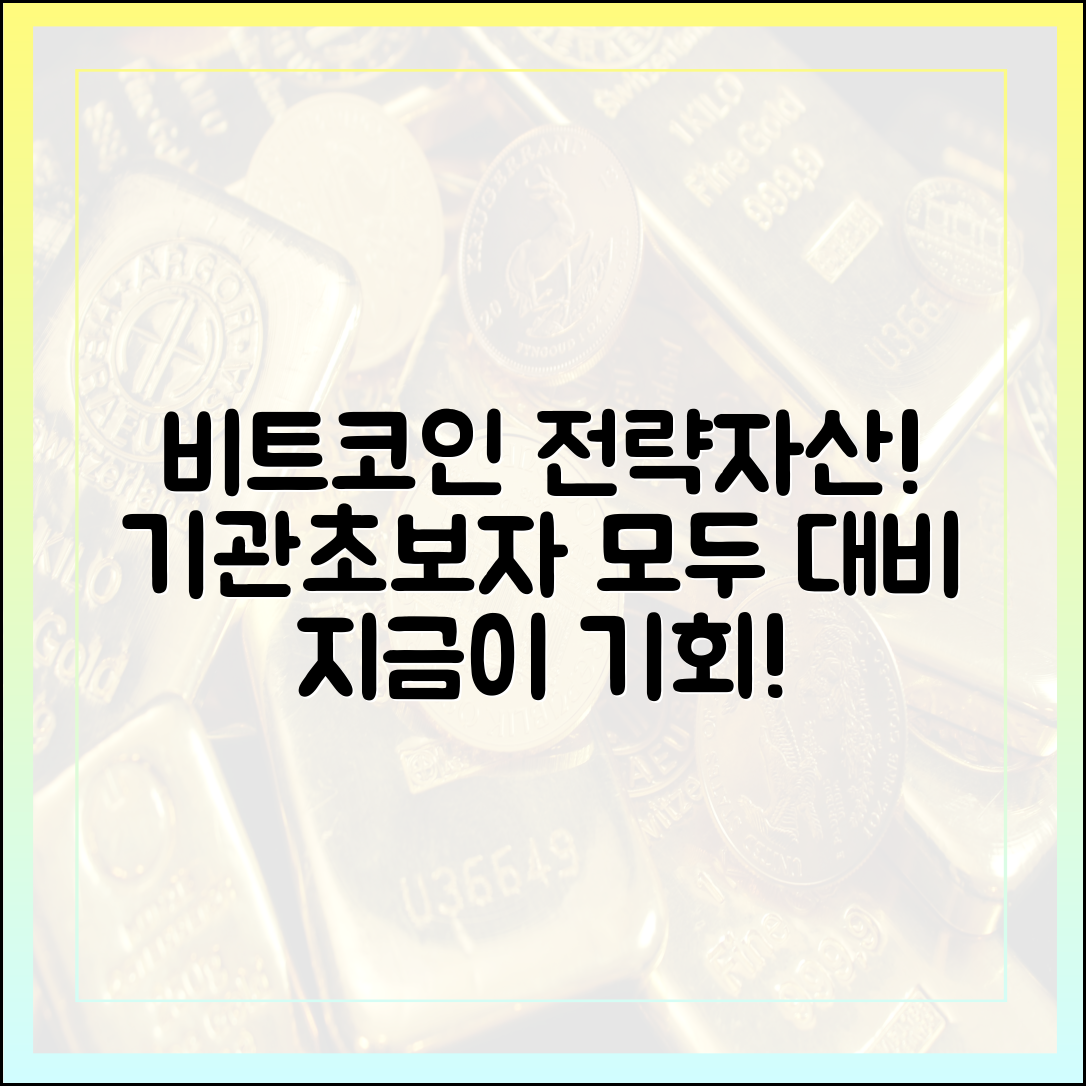 비트코인 전략자산? 기관, 초보자도 대비!