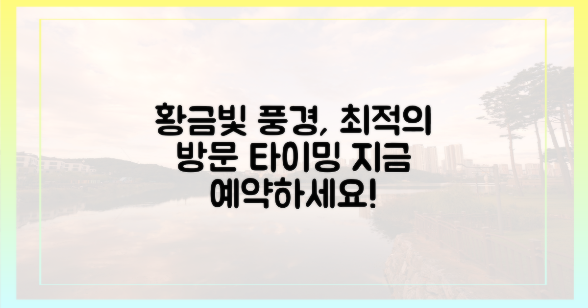 최적의 방문 시기, 황금빛 풍경 예약