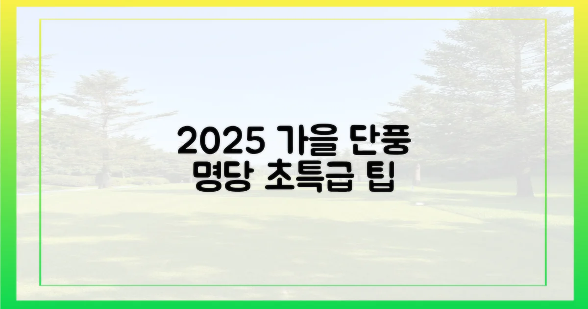 초성공! 2025 가을 단풍 명당 팁