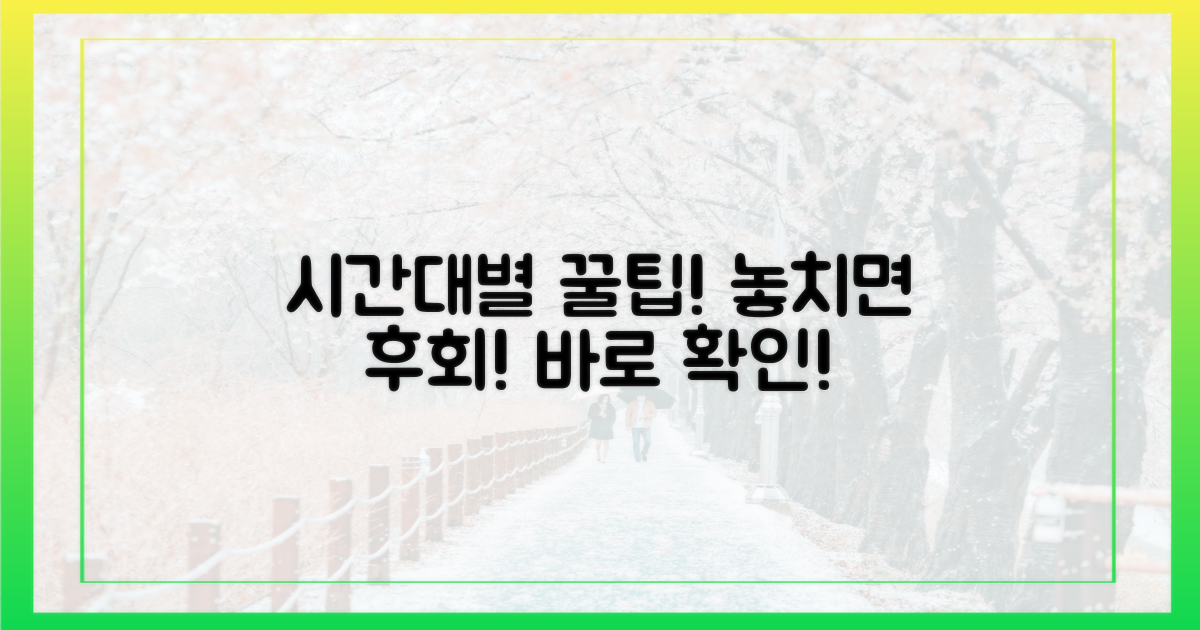 놓치지 마세요, 시간대별 꿀팁!