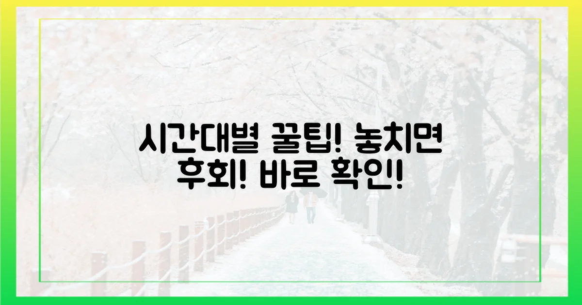 놓치지 마세요, 시간대별 꿀팁!