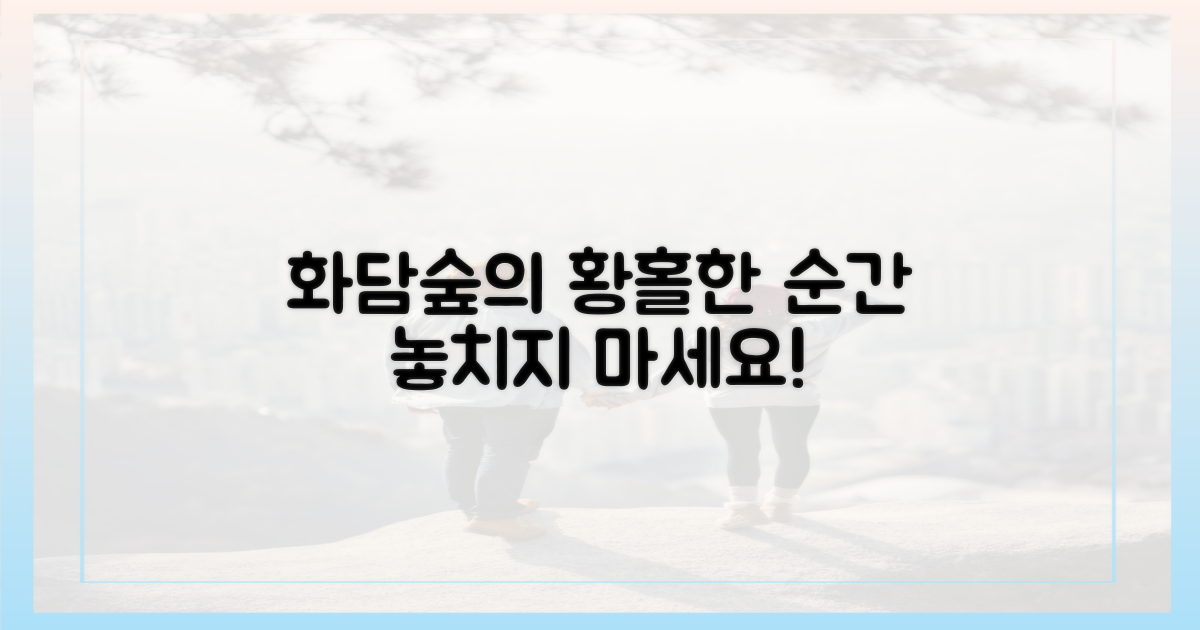 오전 화담숲, 최고의 순간을 포착하세요!