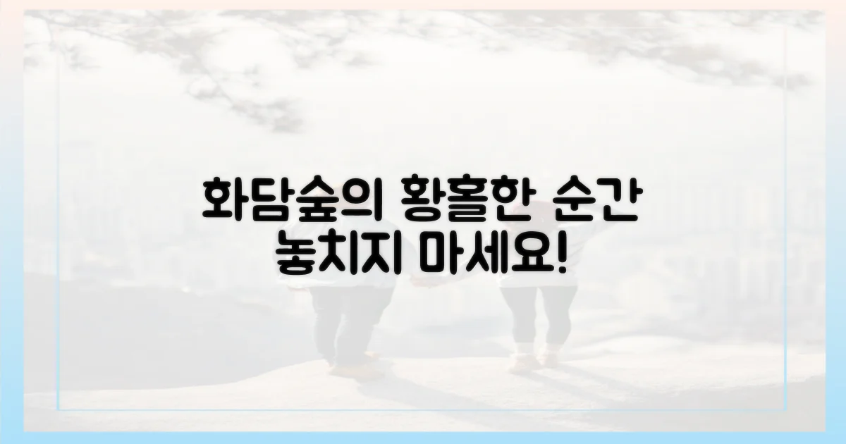 오전 화담숲, 최고의 순간을 포착하세요!