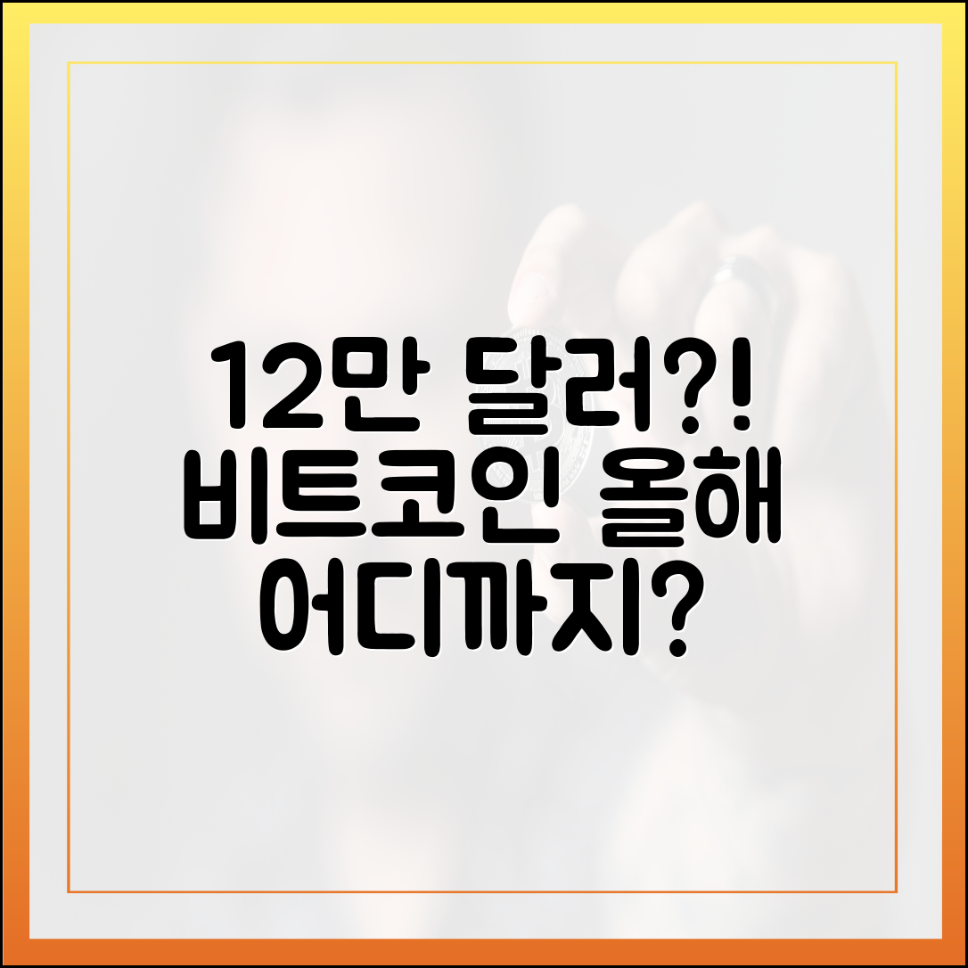 2개월 만에 12만 달러? 비트코인 올해 어디까지 갈까!