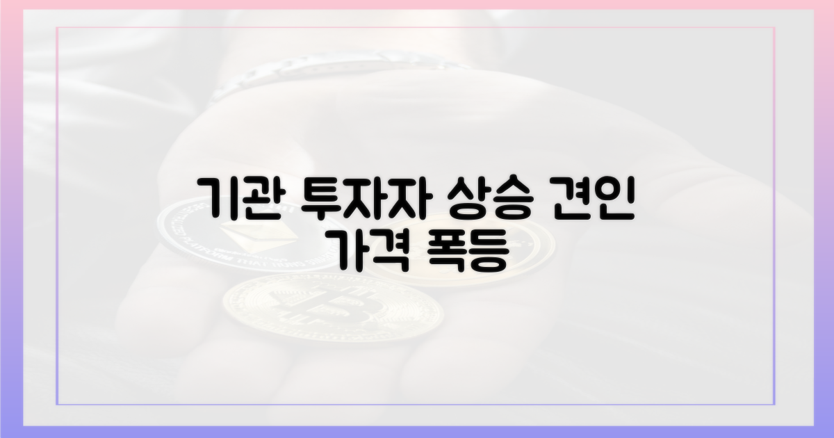 기관 투자자 유입, 가격 상승 견인