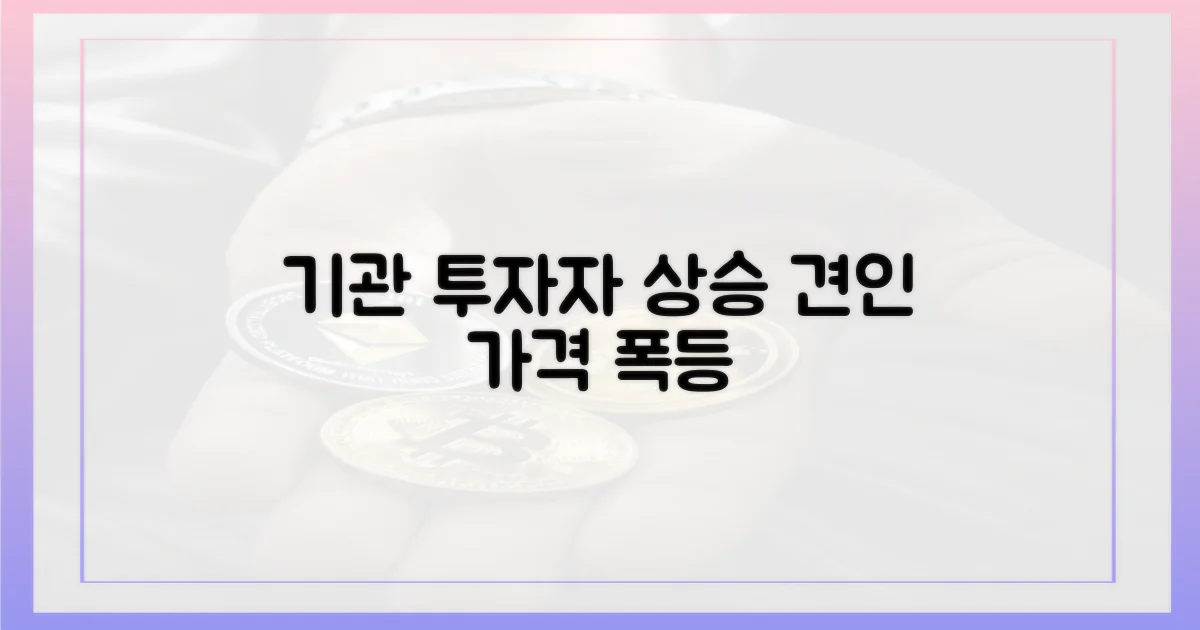 기관 투자자 유입, 가격 상승 견인