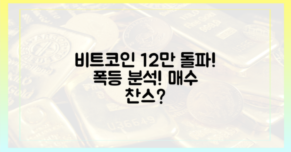 12만 달러 돌파, 비트코인 상승세 분석