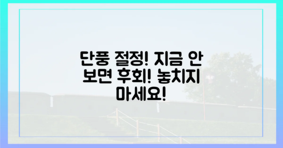 단풍 절정기, 놓치지 마세요!