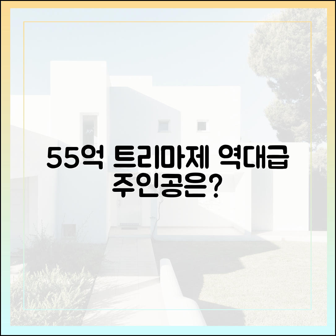 55억 트리마제 현금 거래, 누가 샀을까요?