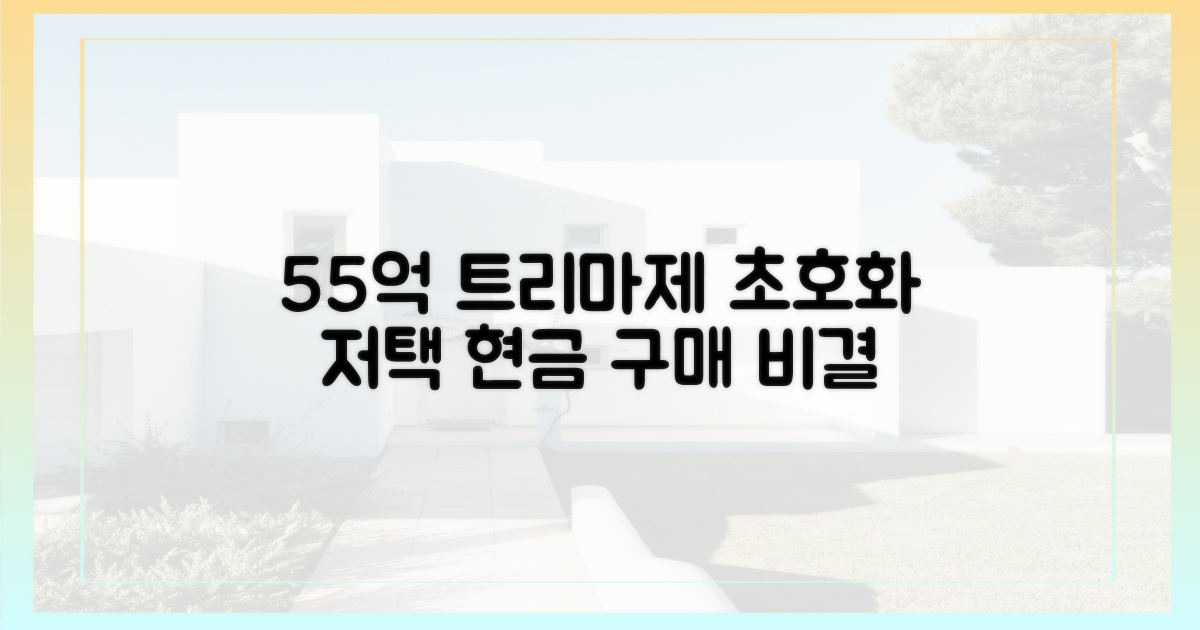 55억 트리마제, 현금으로 어떻게 샀을까요?