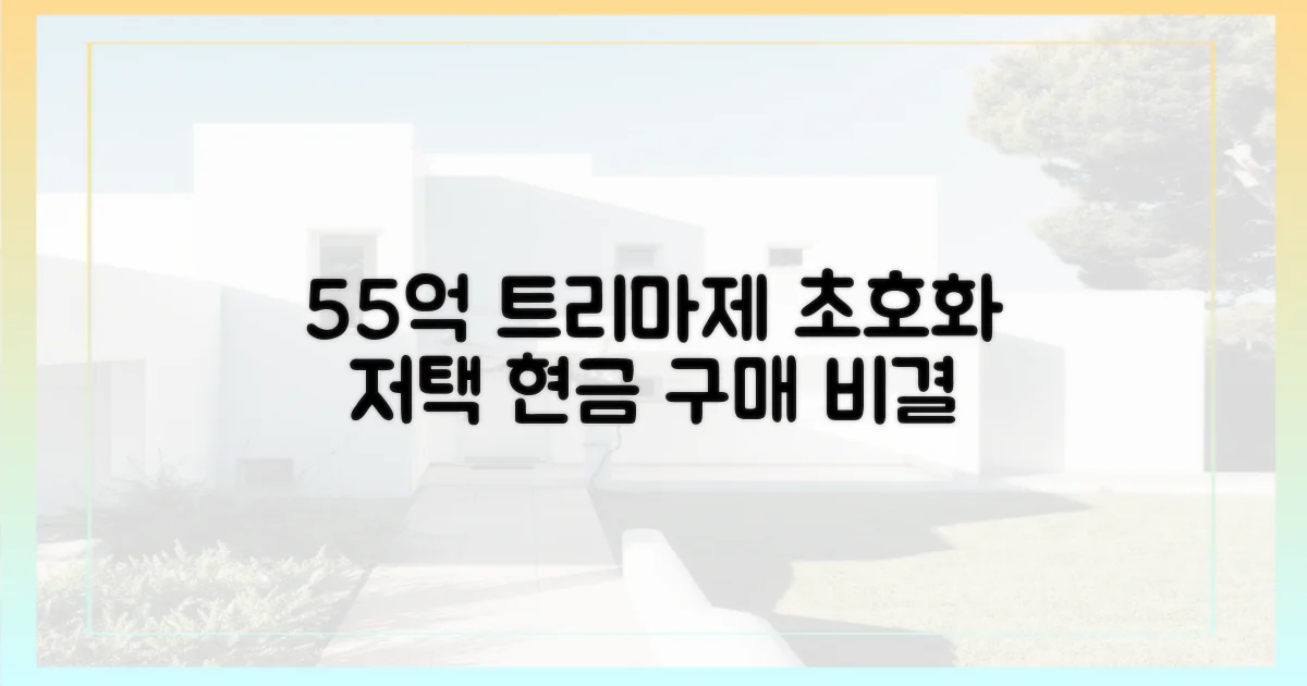 55억 트리마제, 현금으로 어떻게 샀을까요?