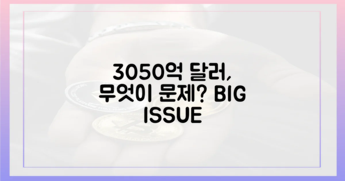 3050억 달러, 무엇이 문제인가?