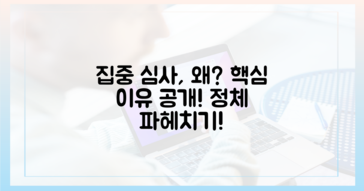 집중 심사, 그 이유는 무엇인가?