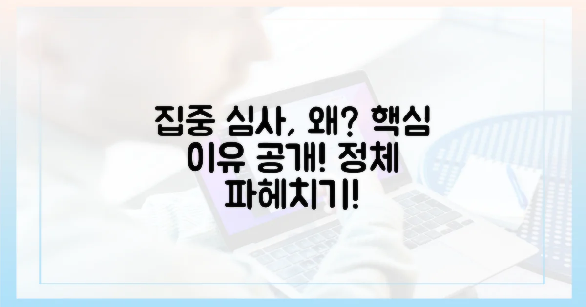 집중 심사, 그 이유는 무엇인가?