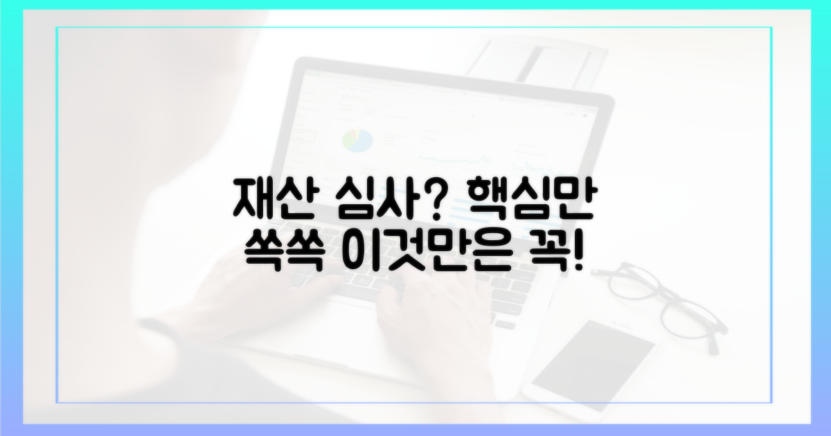 재산 심사, 무엇을 들여다볼까?