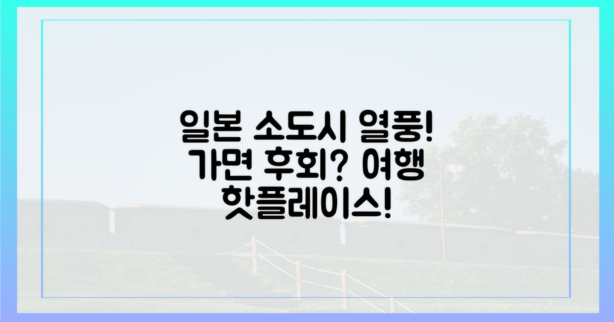 일본 근거리 소도시 인기 급상승