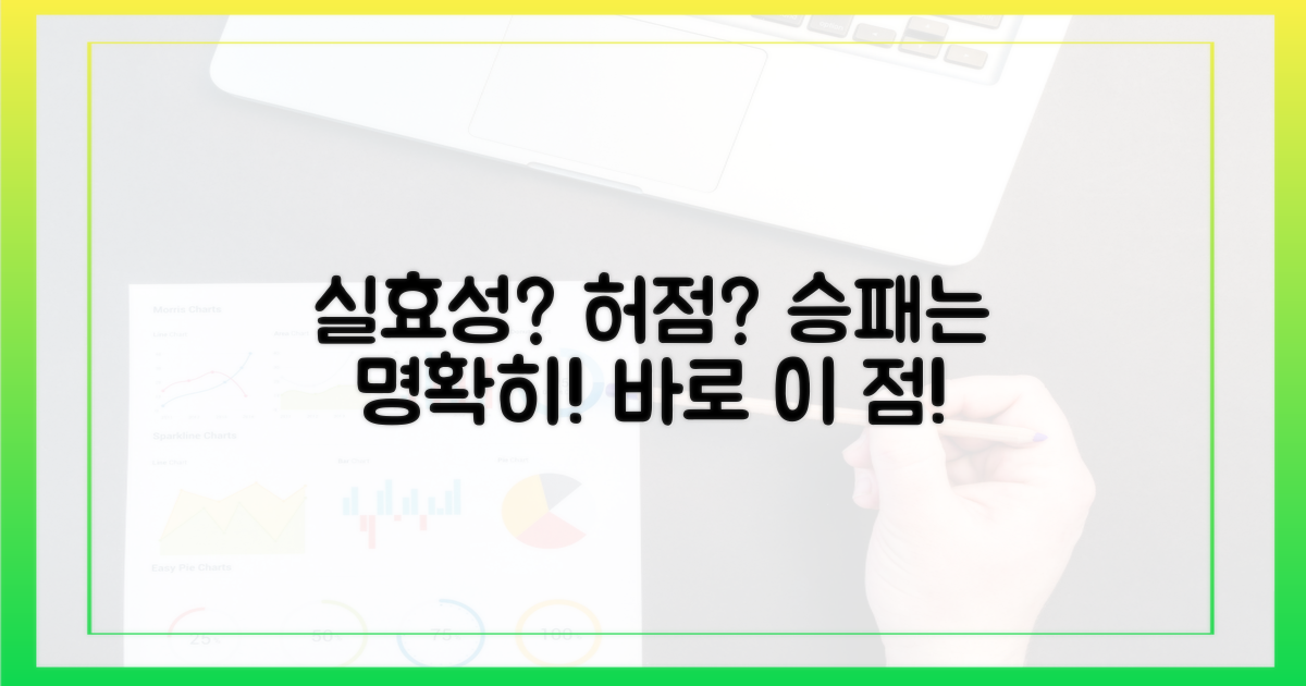 실효성 vs 허점 분석