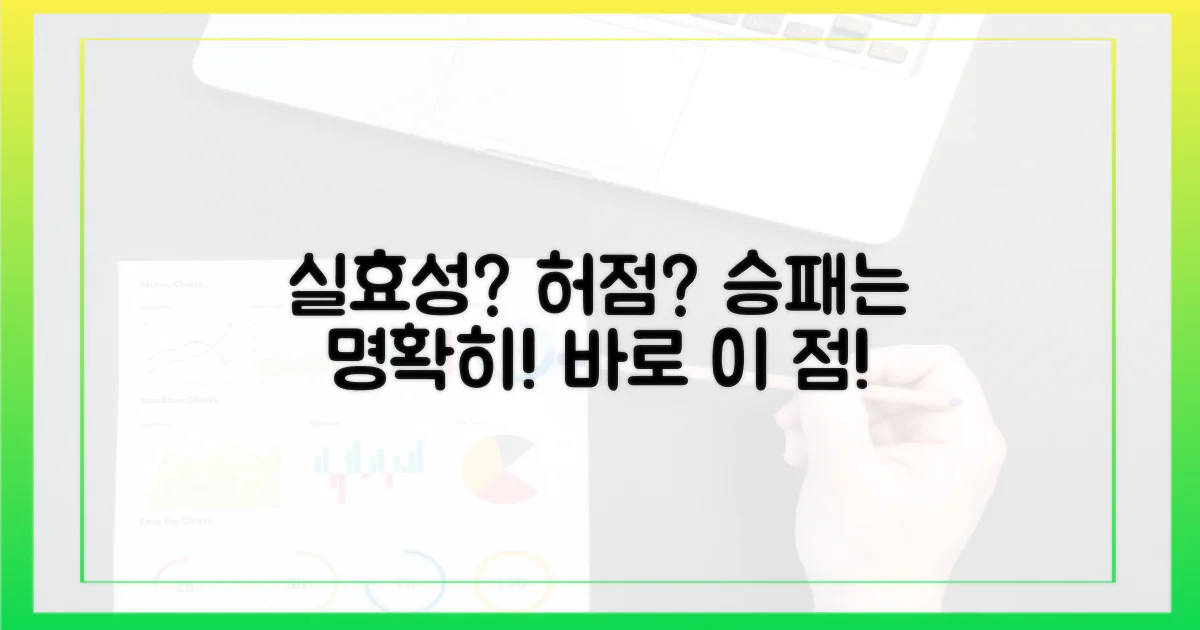 실효성 vs 허점 분석