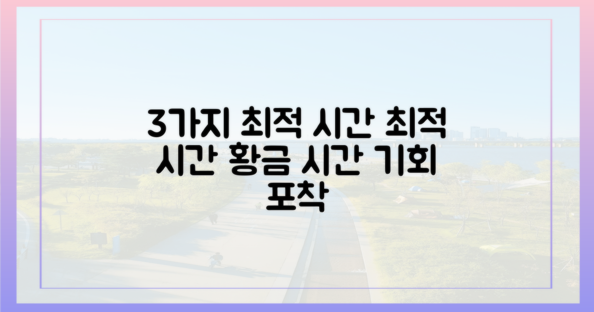 3가지 최적 시간