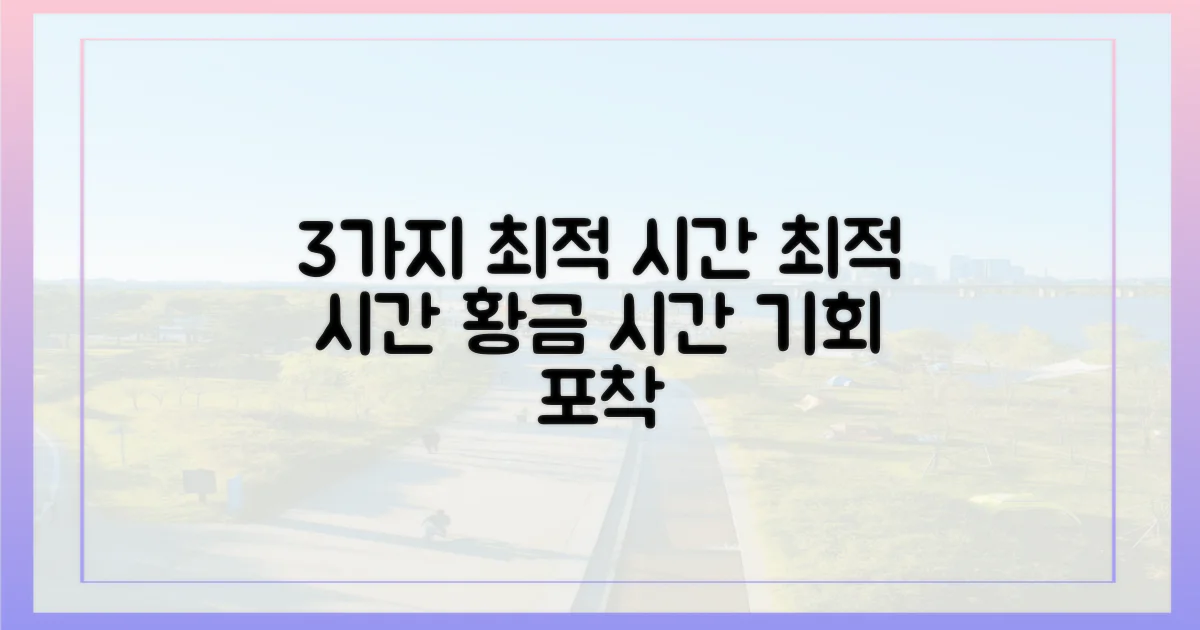 3가지 최적 시간