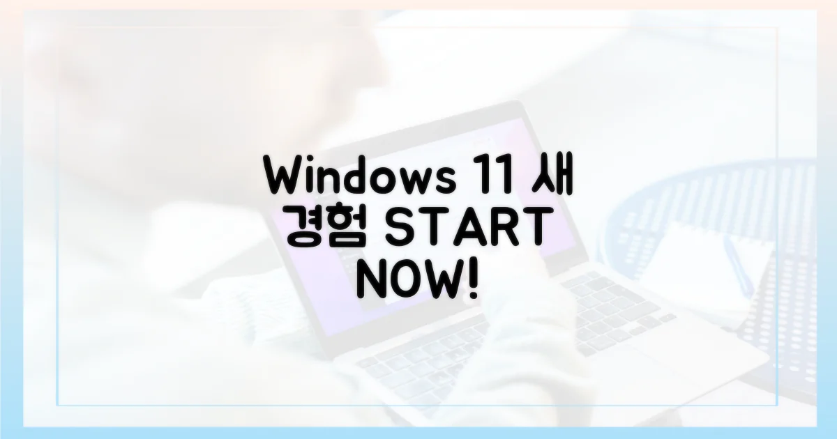 윈도우 11: 새 경험 시작!