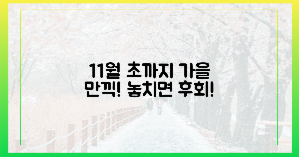 11월 초까지 가을 만끽