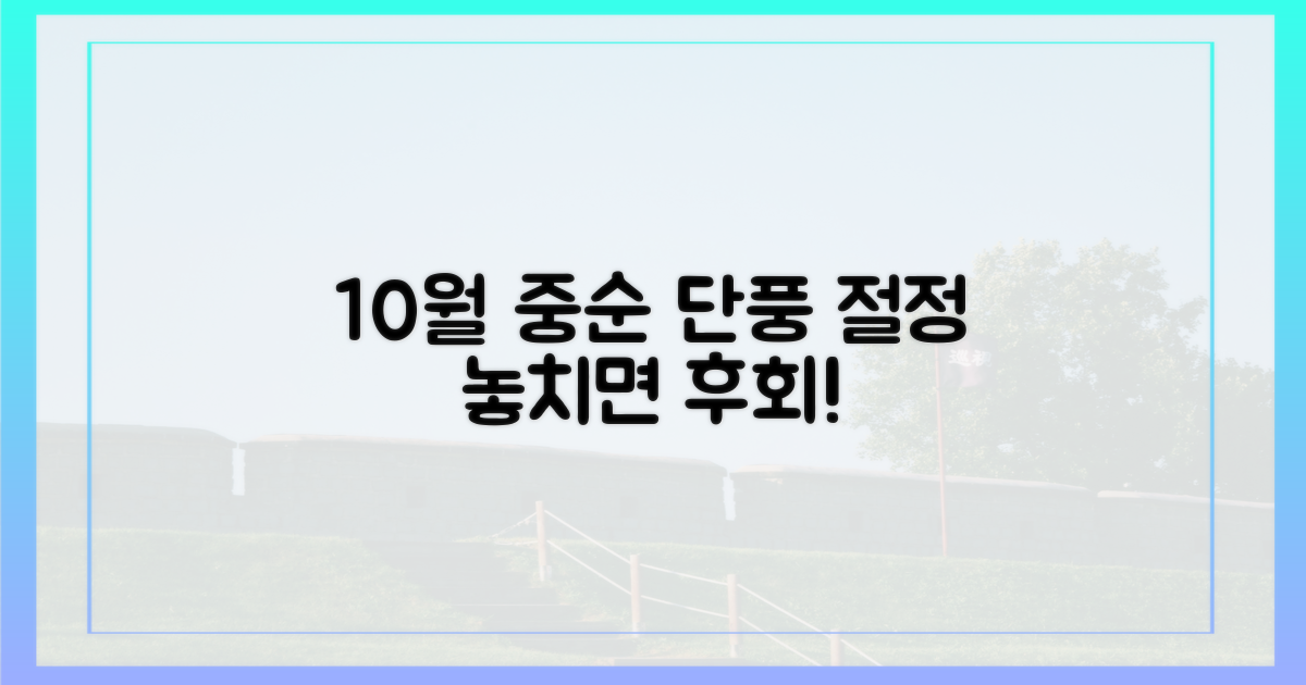 10월 중순, 단풍 절정 예상