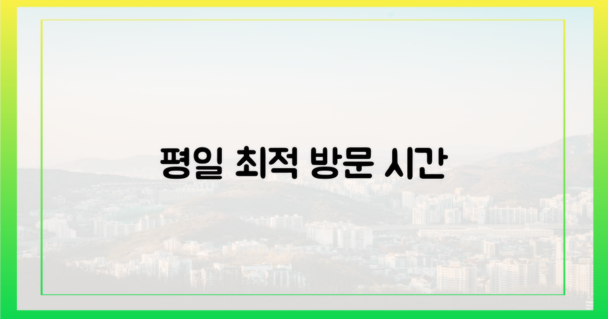 평일 방문, 최적의 시간 선택
