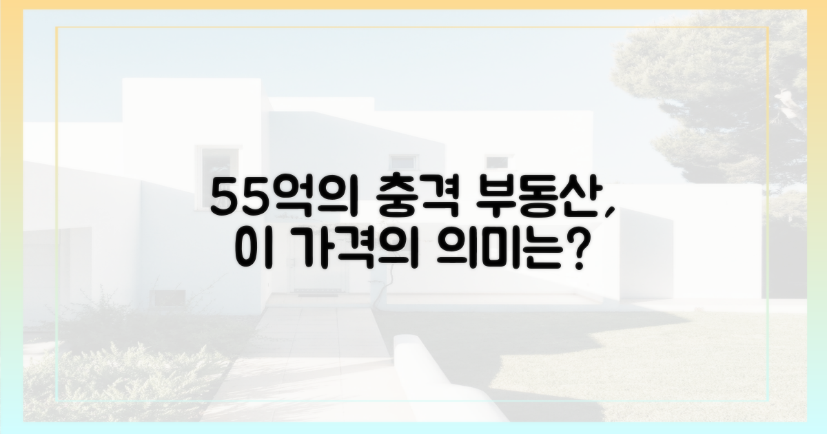 부동산 시장, 55억의 의미