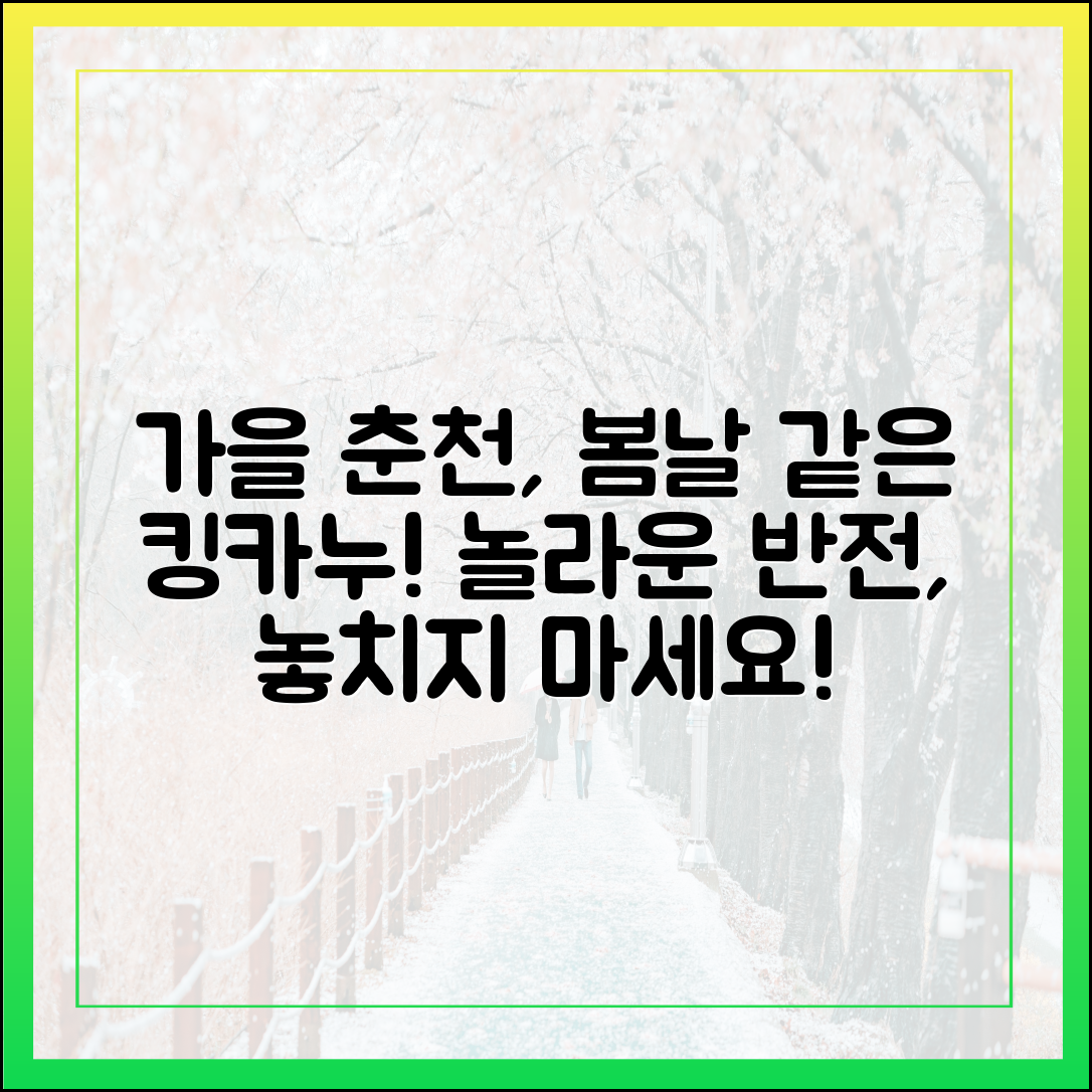 가을 춘천, 봄처럼 킹 카누 놀라운 반전!