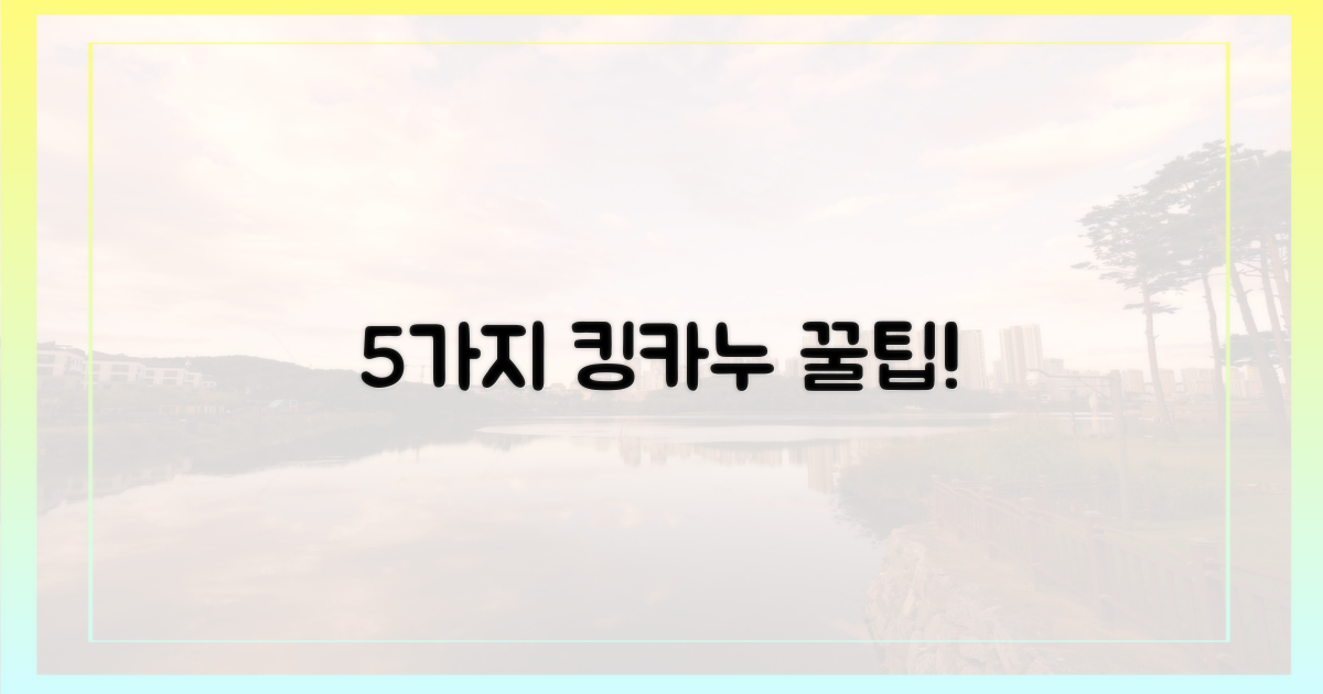 5가지 킹카누 레저 정보