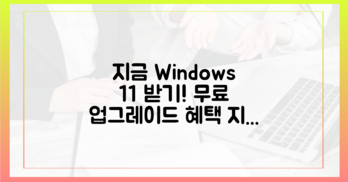 지금 바로 윈도우 11 받으세요
