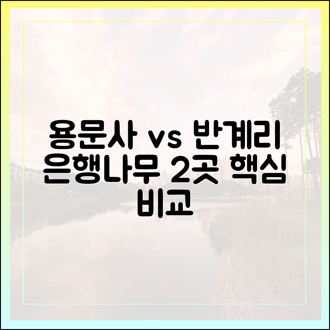 용문사 vs 반계리: 은행나무 2곳, 3가지 핵심 비교