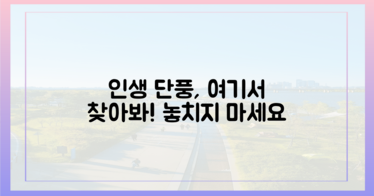 당신의 인생 단풍, 여기서 찾아보세요!