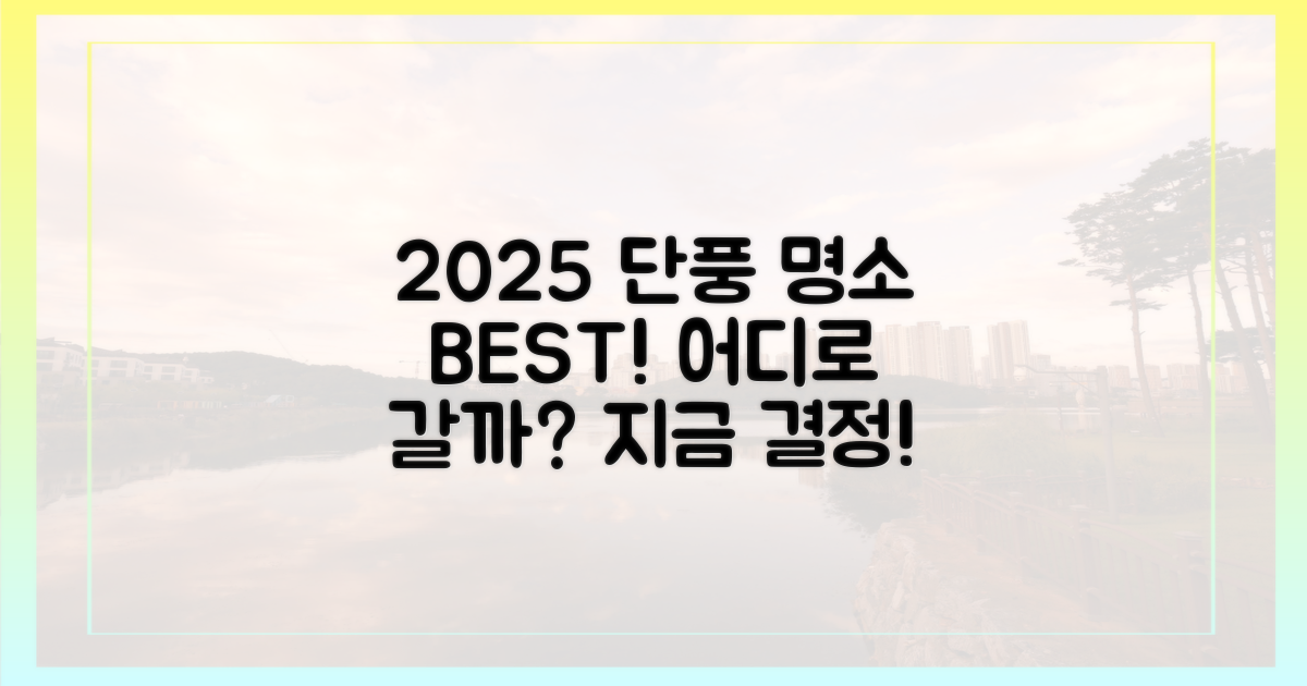 2025년 단풍, 어디로 갈지 정하세요!