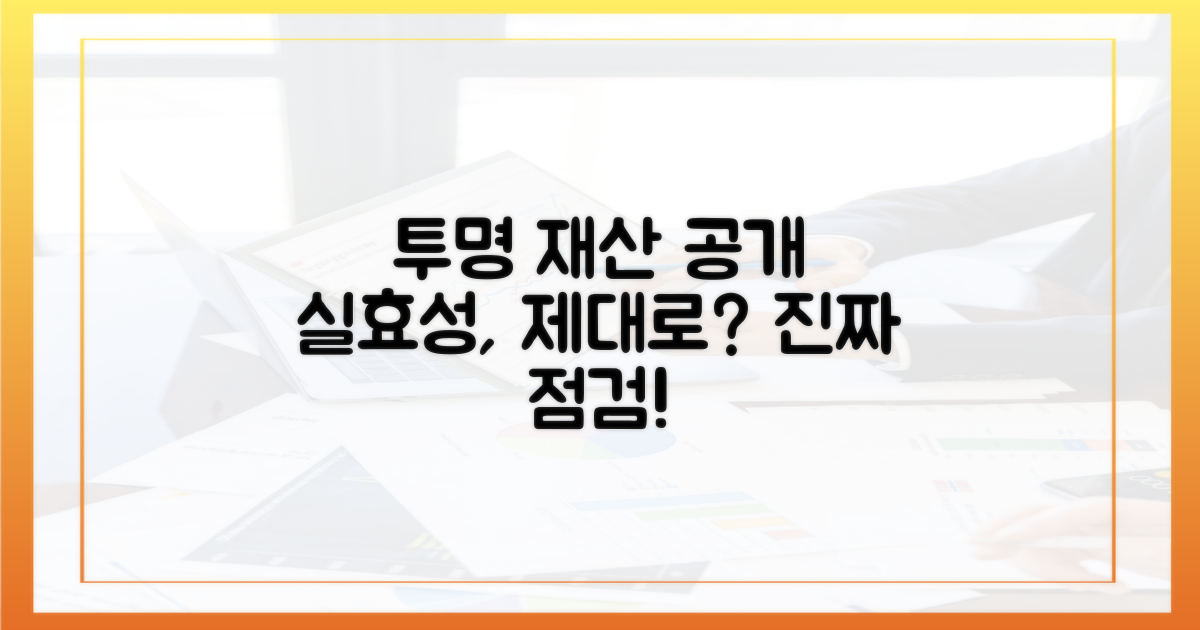 투명한 재산 공개, 실효성 점검