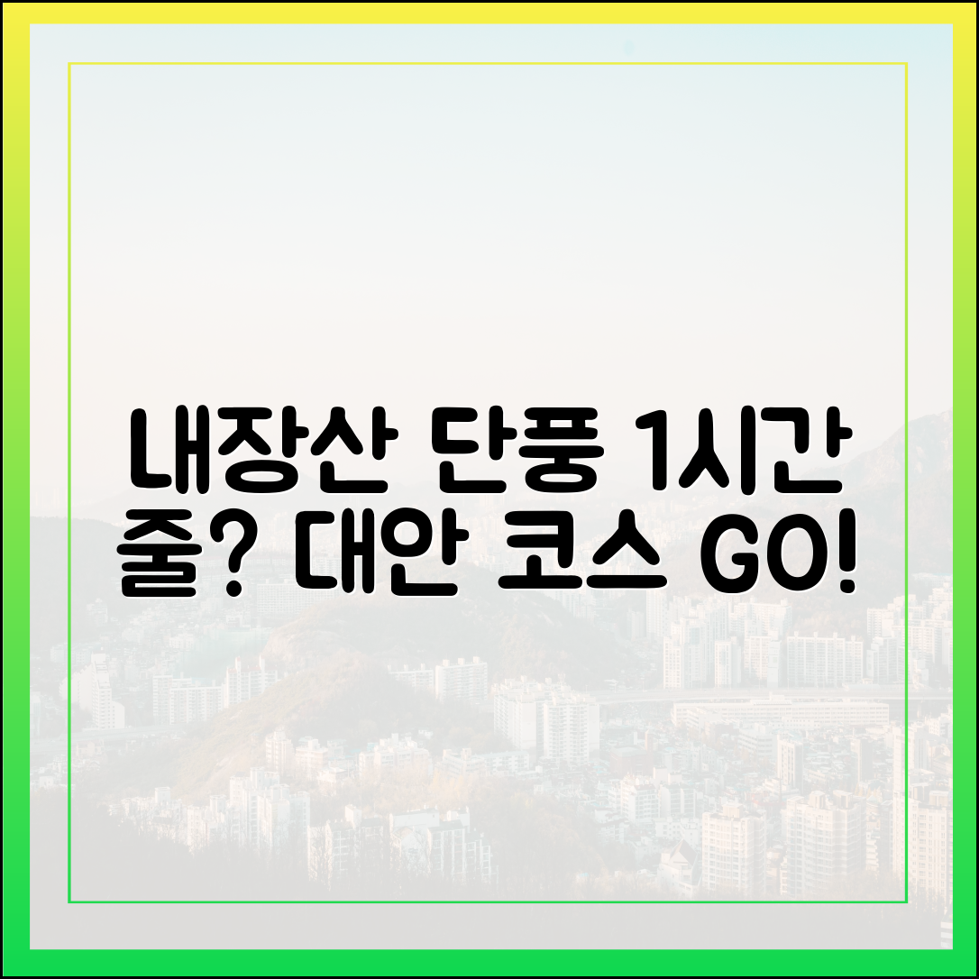 내장산 단풍 케이블카, 1시간 기다릴 충격! 대안 코스 공개