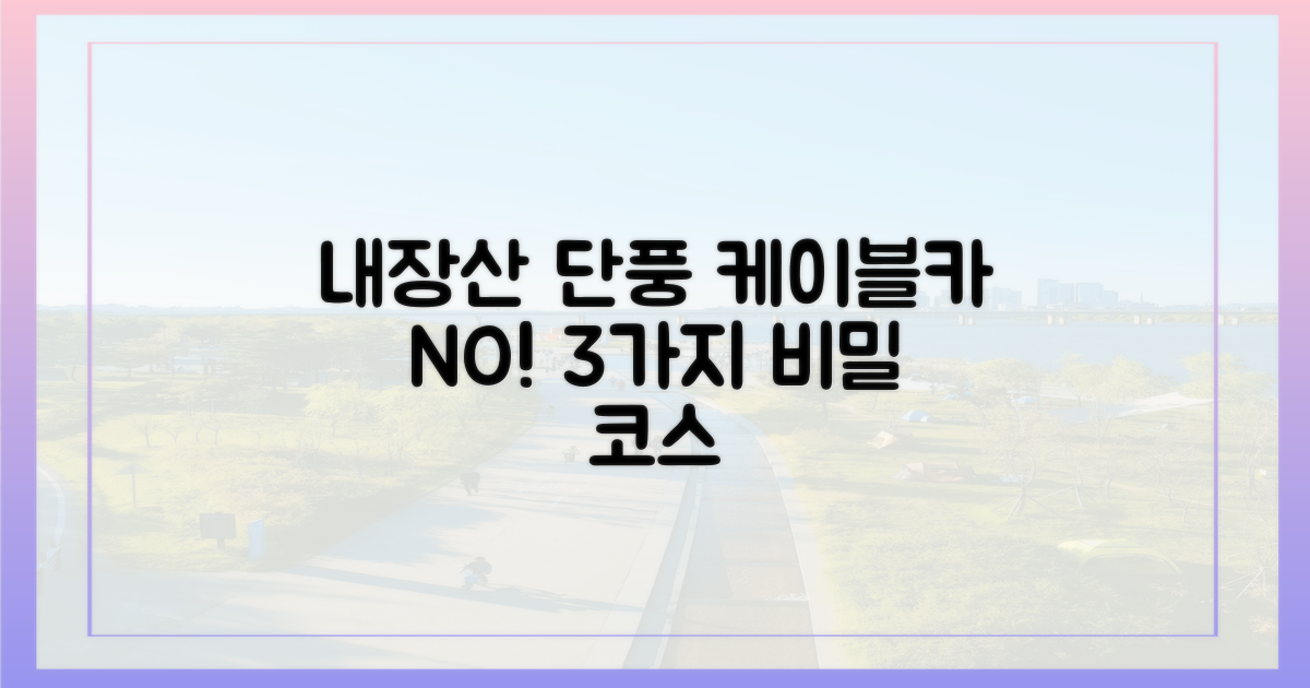 내장산 단풍, 케이블카 말고 3가지 코스