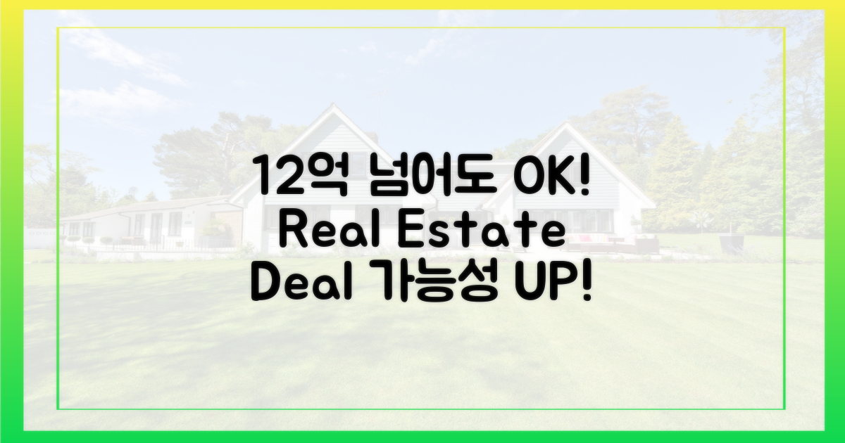 12억 초과 주택도 OK!