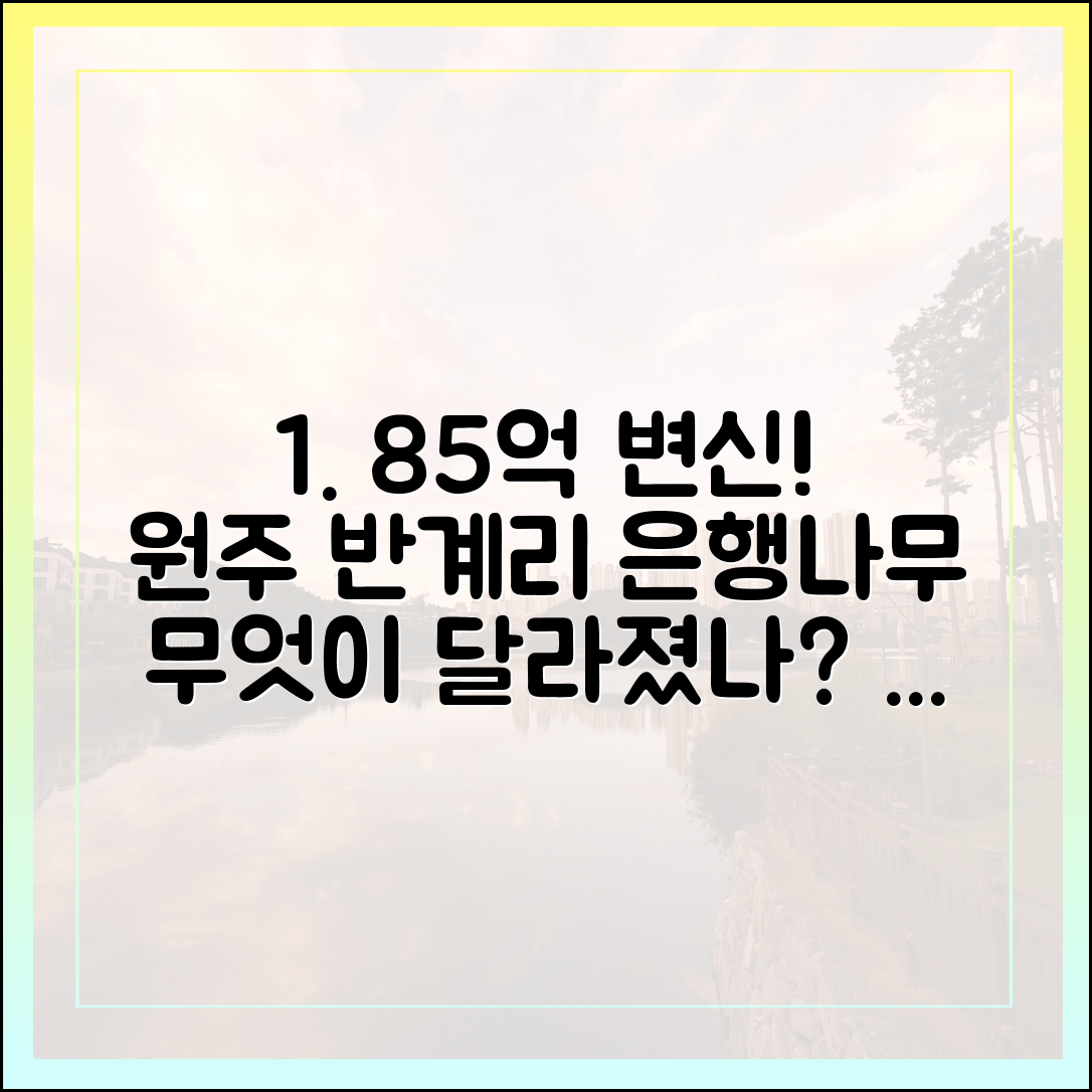 원주 반계리 은행나무, 85억 리뉴얼 후 뭐가 달라졌을까?