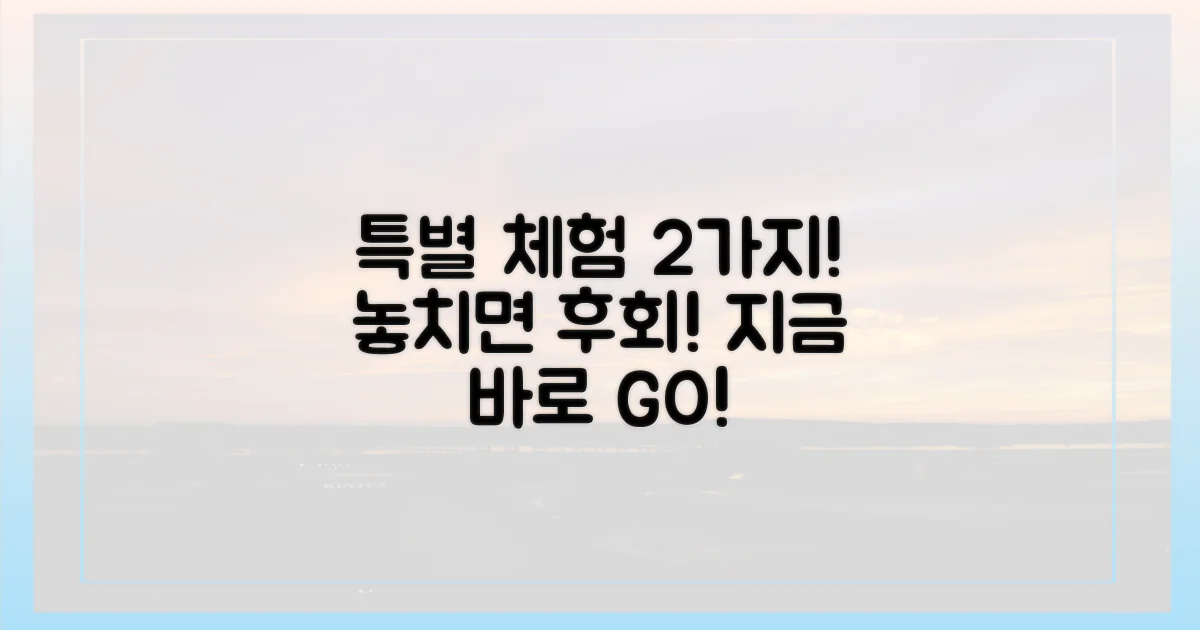 2가지 특별 체험 프로그램