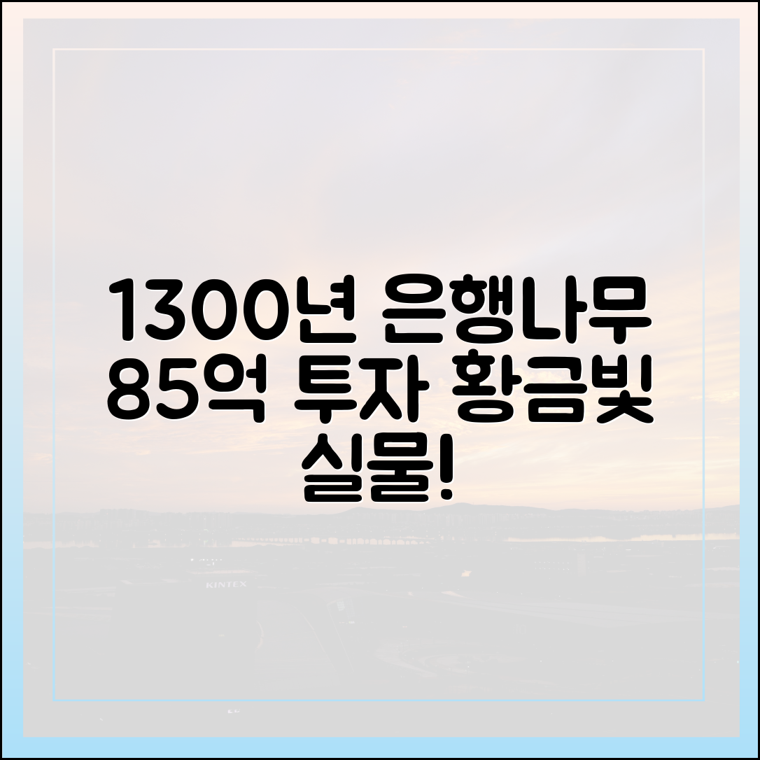 1300년 반계리 은행나무: 85억 투자, 황금빛 실물 영접!