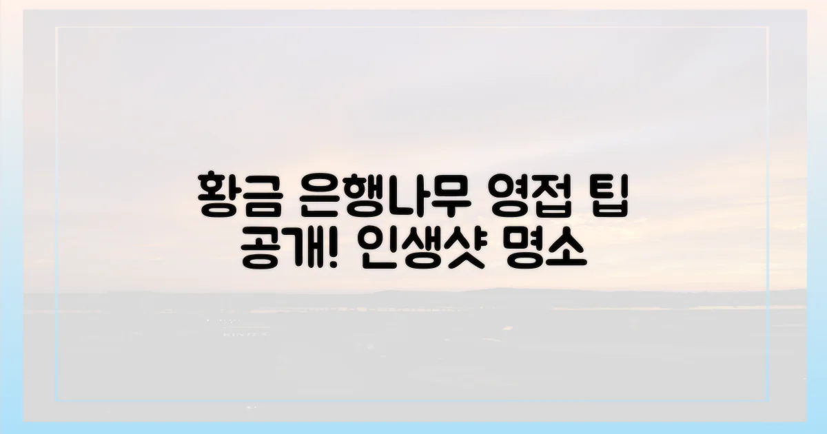 황금빛 명소! 반계리 은행나무 영접 팁