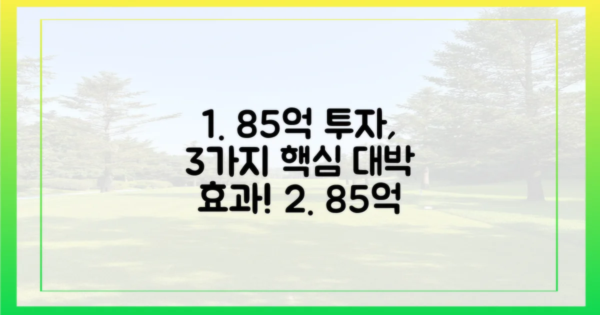 3가지 핵심 포인트: 85억 투자 효과