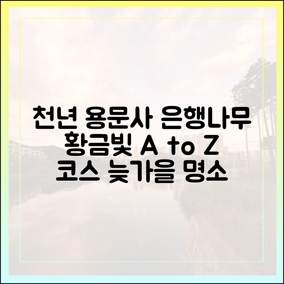 용문사 은행나무: 천년 명소, 늦가을 A to Z 코스