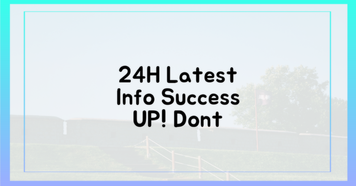 24시간 최신 정보, 성공 확률 UP