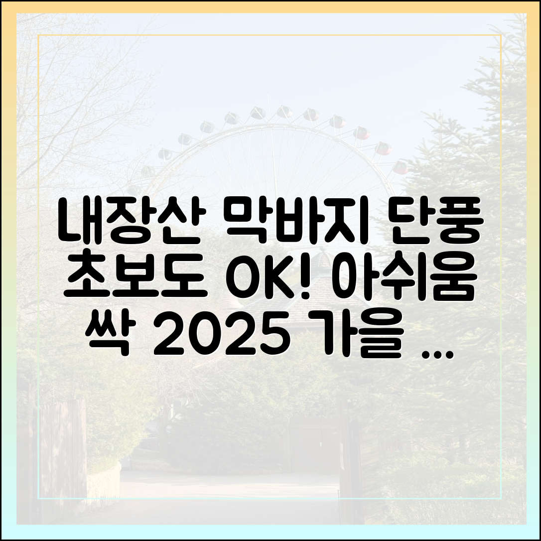 2025 가을 끝, 내장산 단풍 막바지: 초보도 아쉬움 달래기