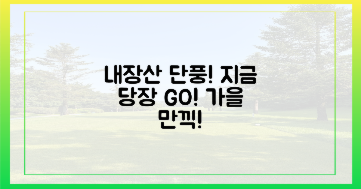 내장산 단풍, 지금 바로 만나보세요!